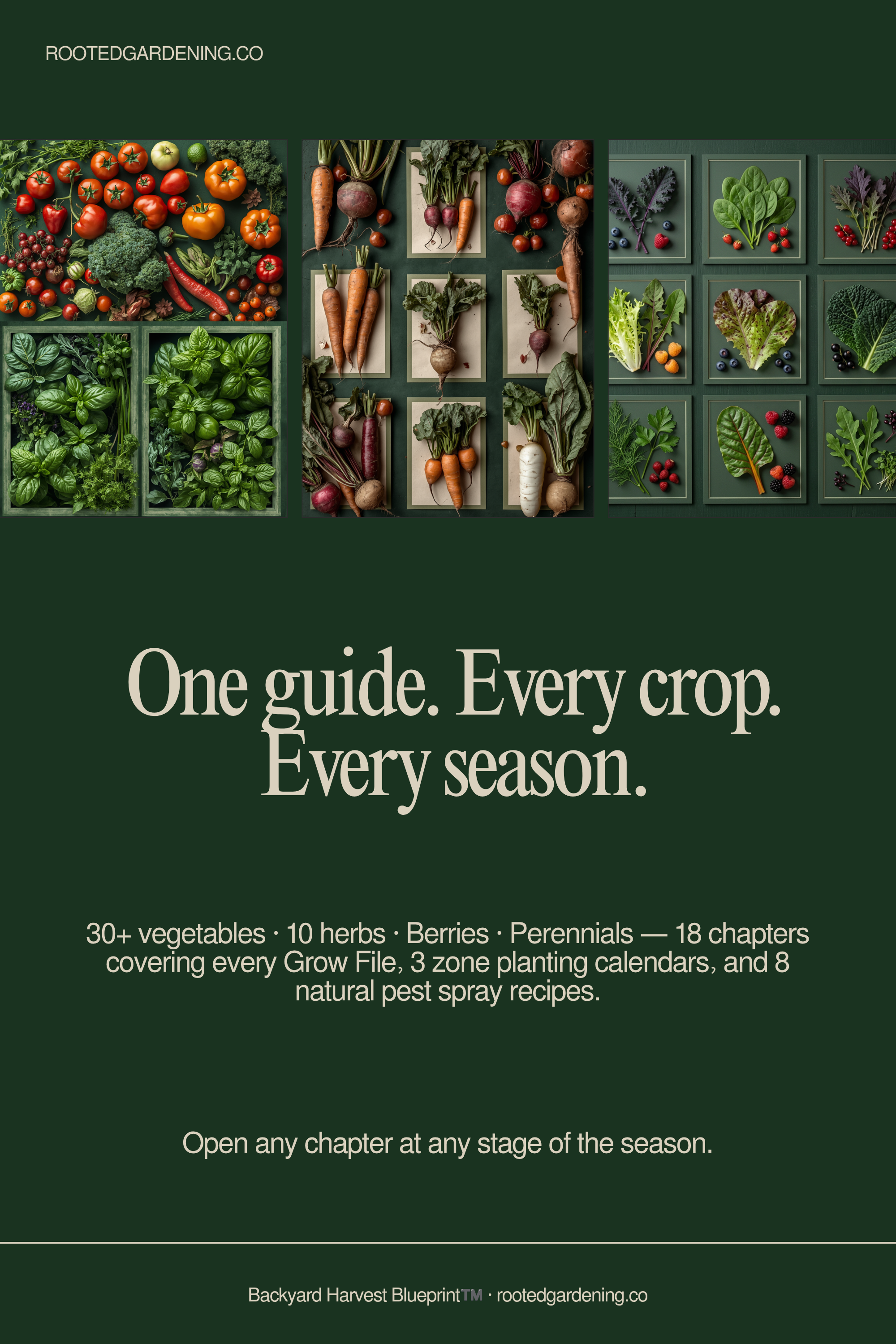 Backyard Harvest Blueprint β overview