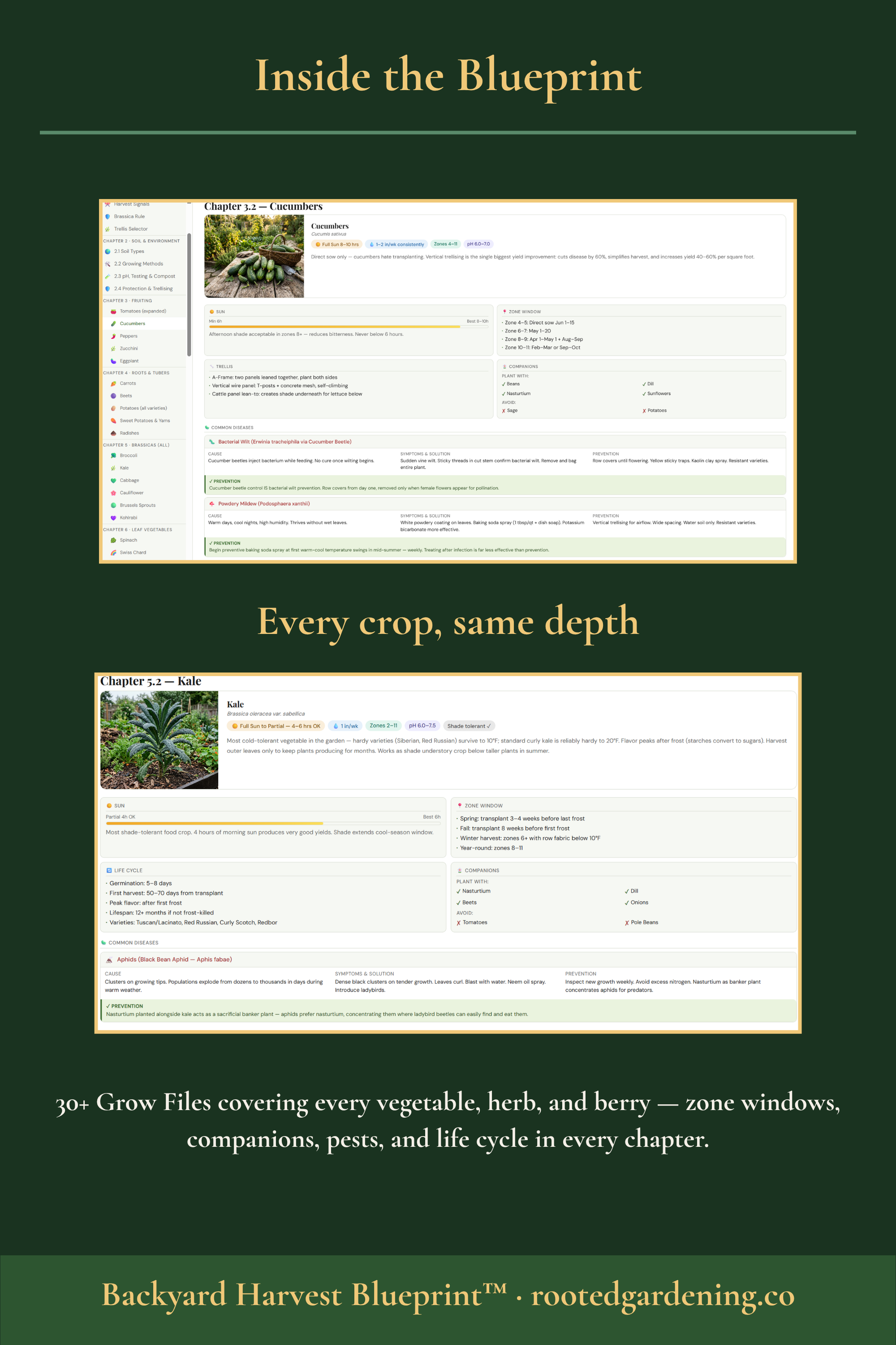 Inside the Backyard Harvest Blueprint